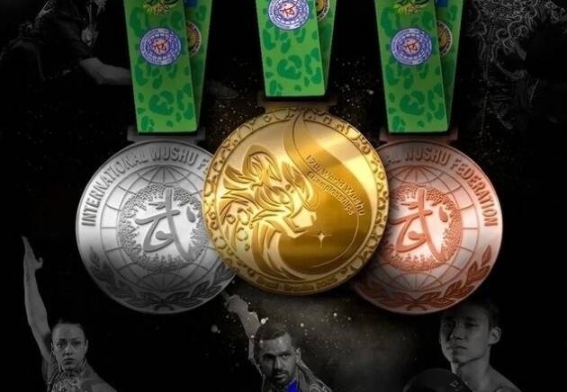 Стартовал Чемпионат мира по ушу изображение 29